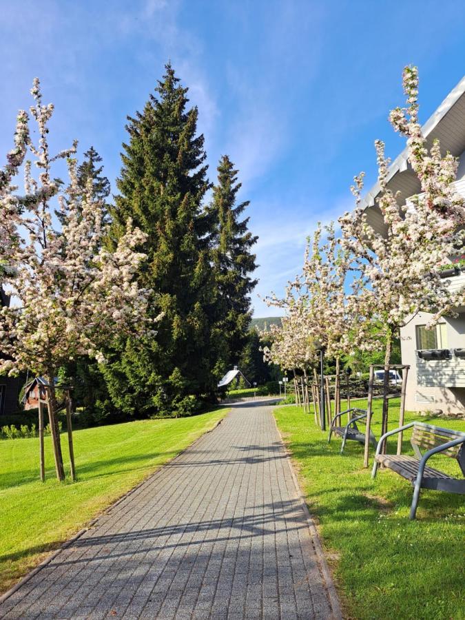 Apartament Wellness Josefina - Free Grotta Wellness Harrachov
